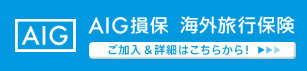 AIG COsیiڍׂ͂灨j